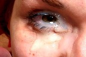 soy una cerda y quiero que te corras en mis ojos