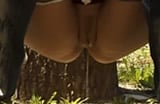el meado es bueno para los arboles